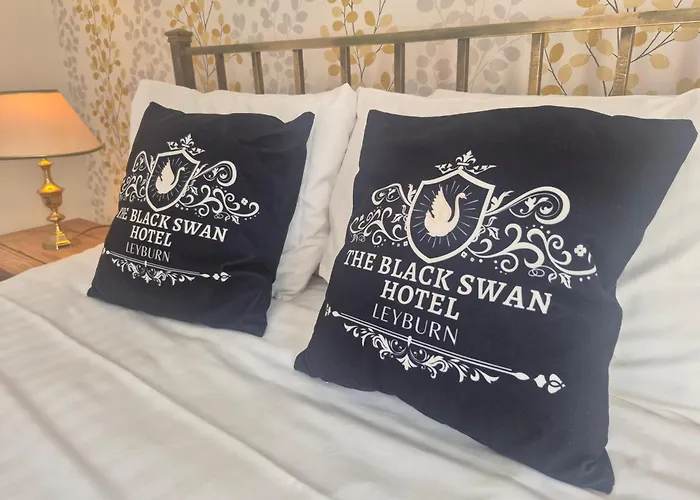 Bed & Breakfast The Black Swan & *