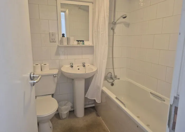 The Black Swan & Bed & Breakfast *